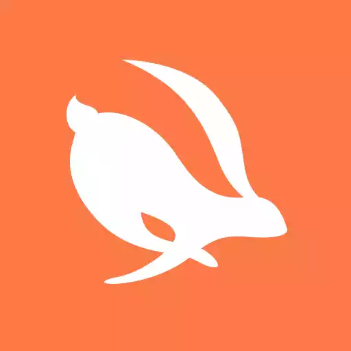 Turbo VPN MOD APK (1)